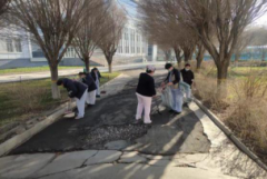 全市深切开展爱国卫糊口动